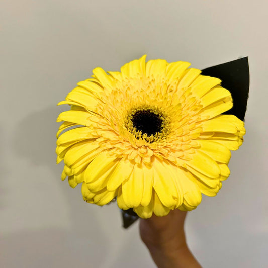 Beautiful Sunflower Bouquet With Jhumka
